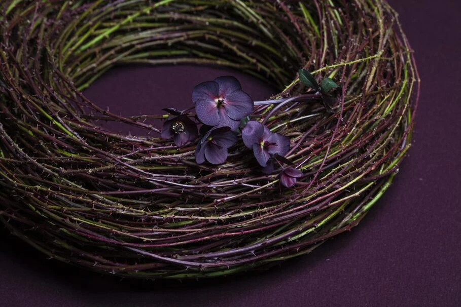 Blumen Kolb Abschied nehmen 9