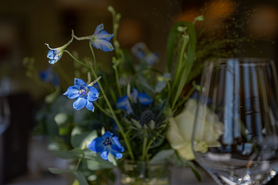 blumenkolb_festefeiern16