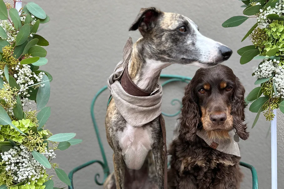 Blumen Kolb Feste feiern 9