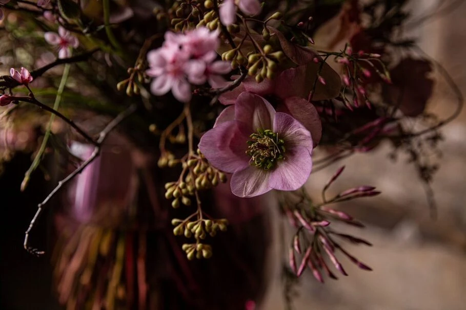 Blumen Kolb Freude schnenken 1