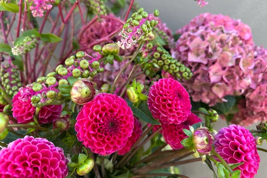 blumenkolb_freudeschenken12