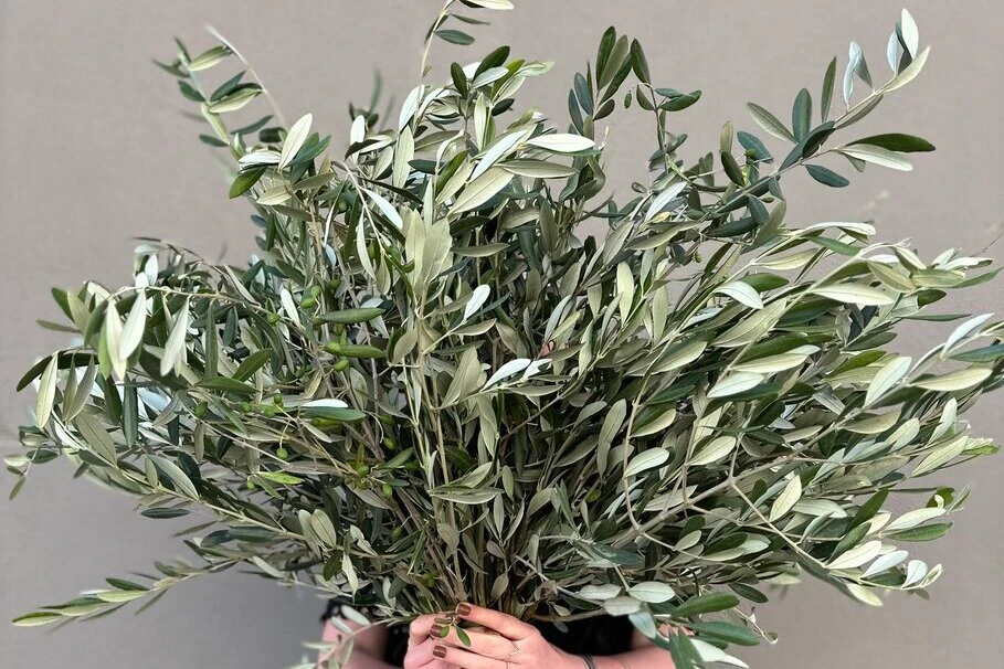 Blumen Kolb Freude schnenken 6