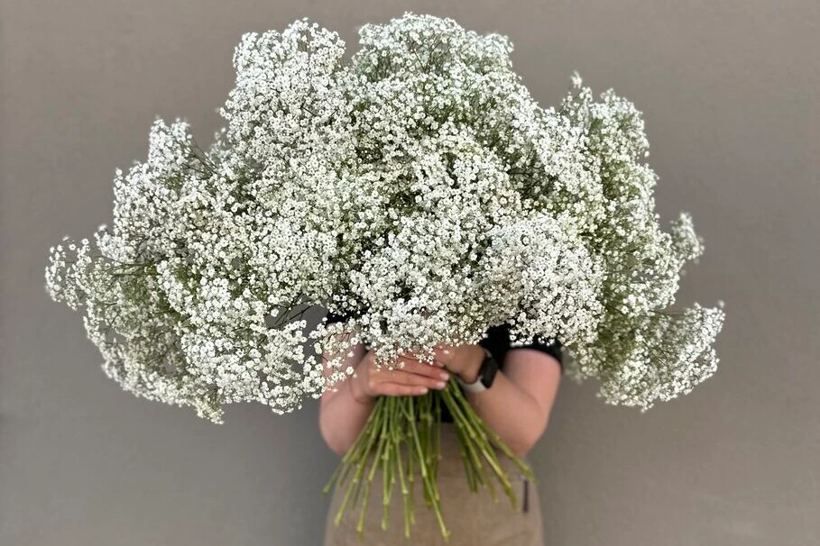 Blumen Kolb Freude schnenken 8