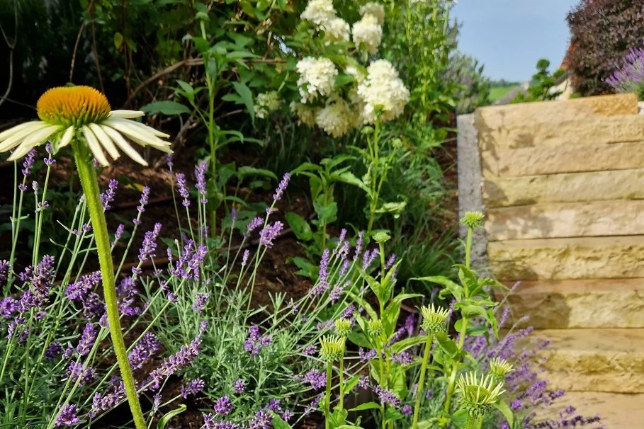 Blumen Kolb Gartenpflege 5