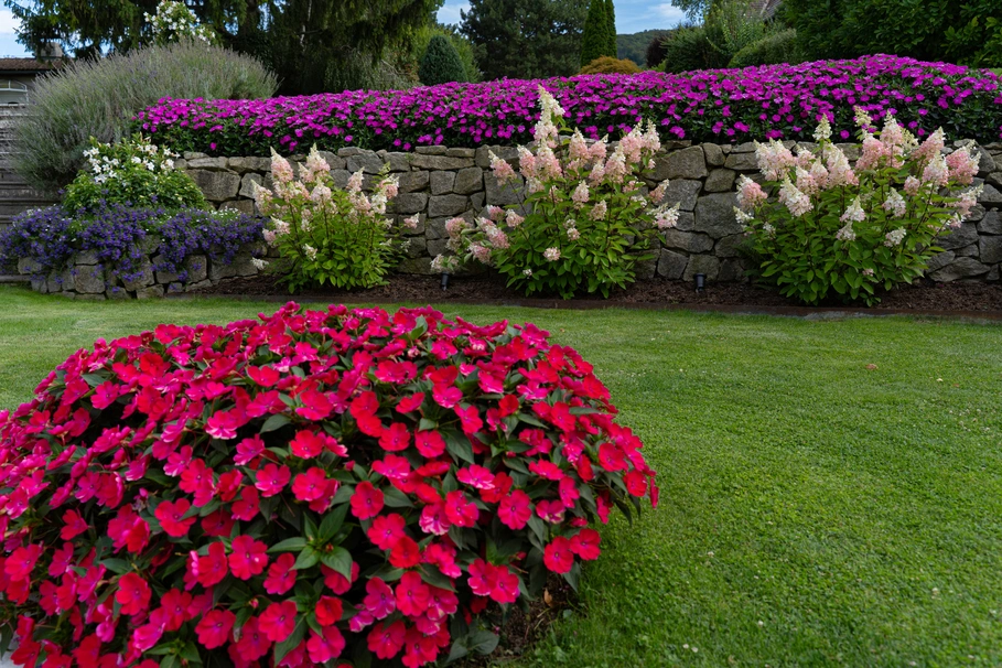blumenkolb_gartenpflege_klosterneuburg6