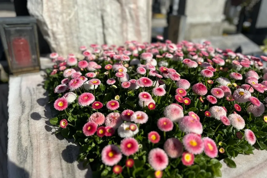 blumenkolb_grabpflege15