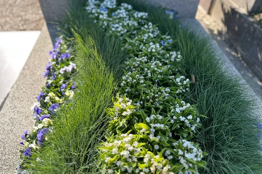 blumenkolb_grabpflege19