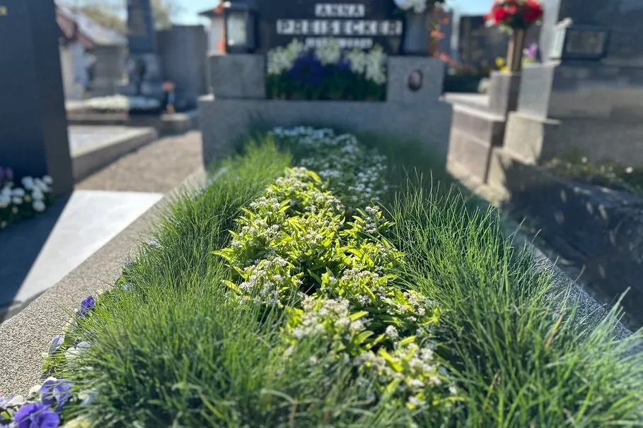 blumenkolb_grabpflege21