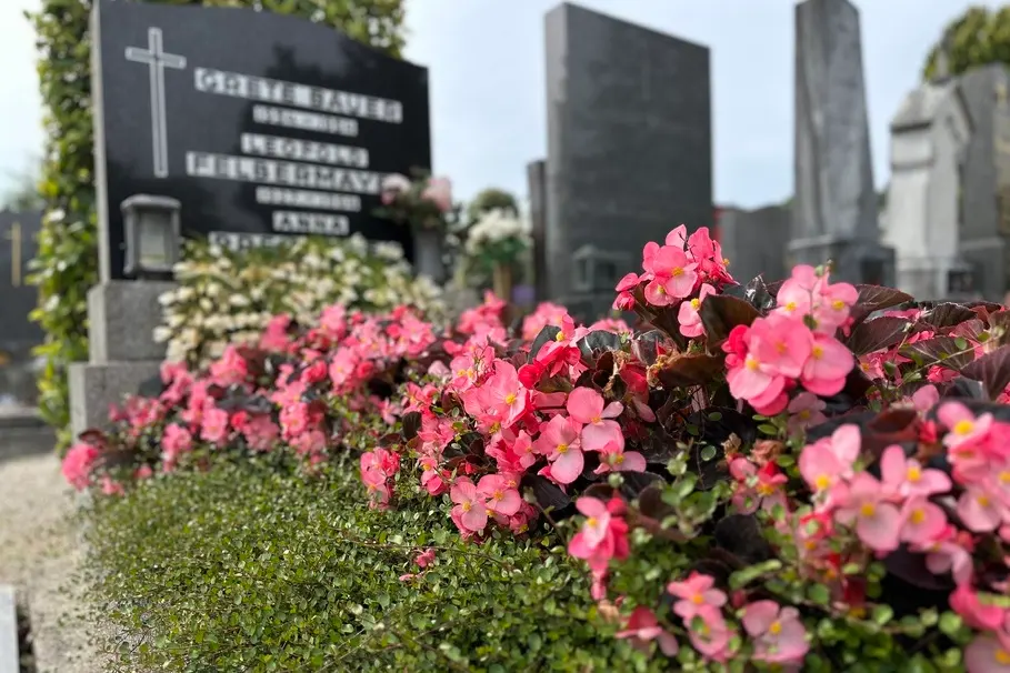 blumenkolb_grabpflege25