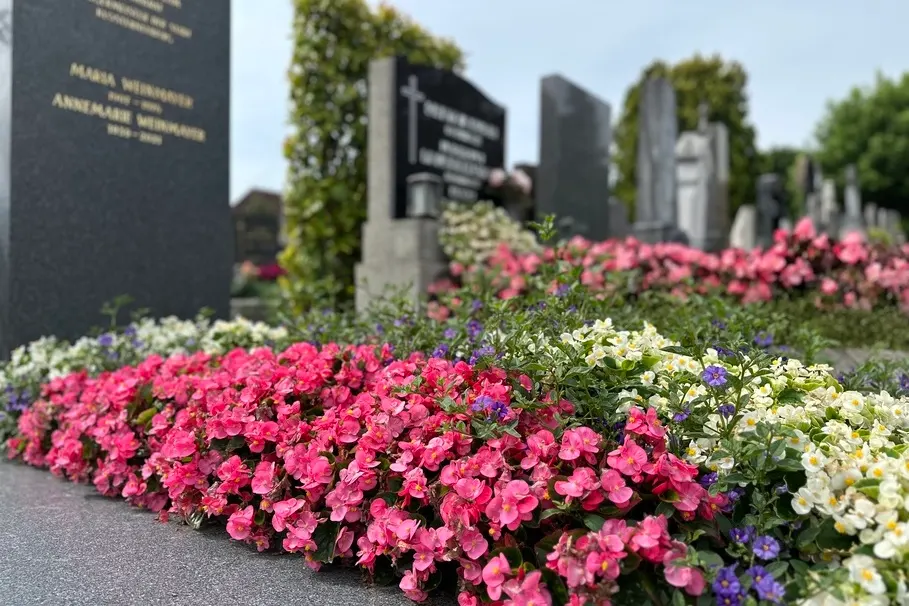 blumenkolb_grabpflege26