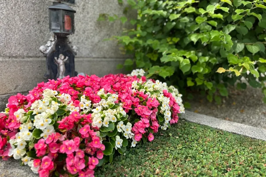 blumenkolb_grabpflege28