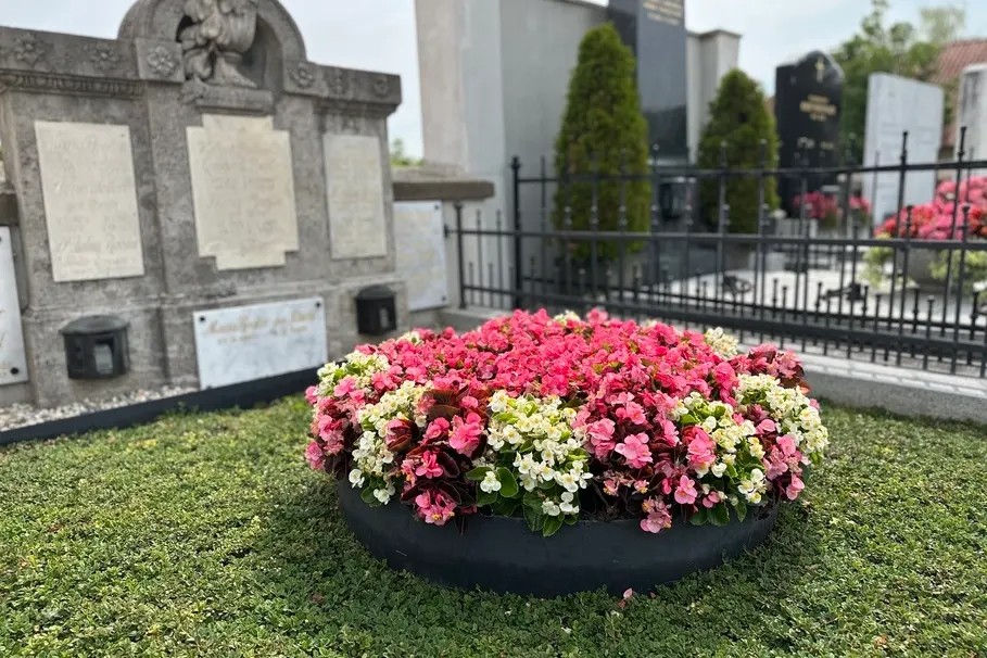 blumenkolb_grabpflege29