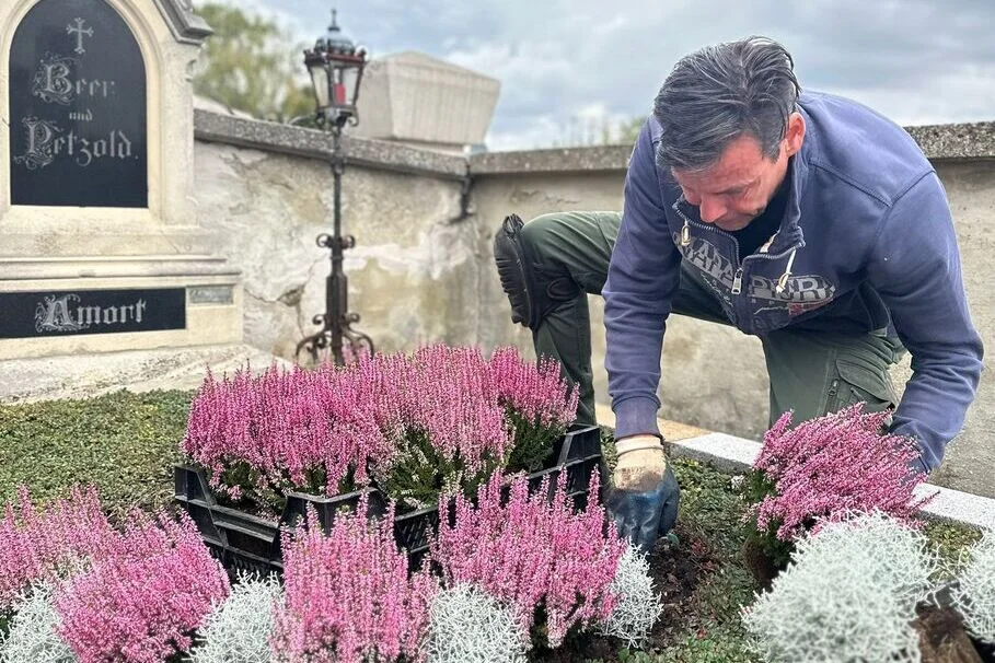 Blumen Kolb Grabpflege 3