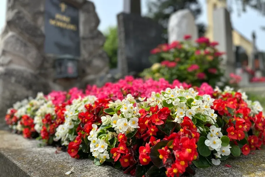 blumenkolb_grabpflege30