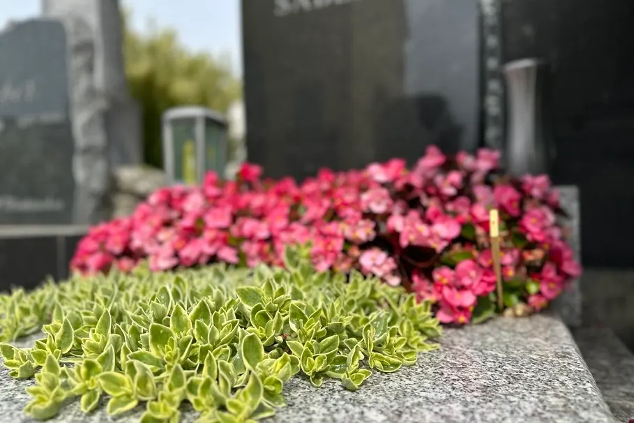 blumenkolb_grabpflege31