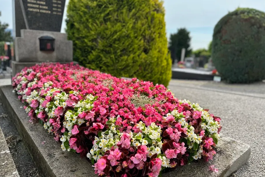 blumenkolb_grabpflege33