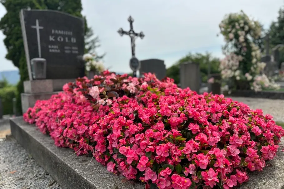 blumenkolb_grabpflege35