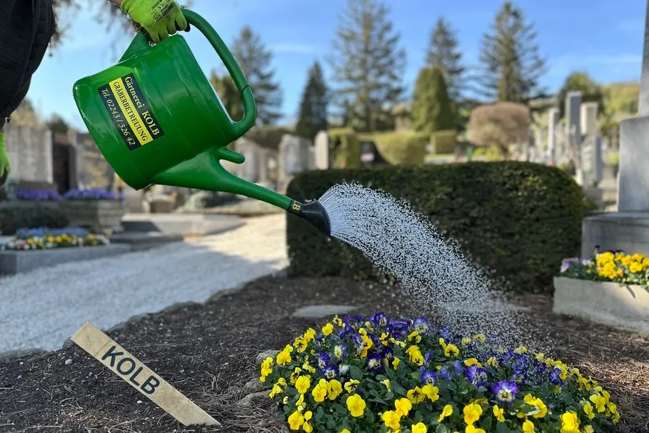 blumenkolb_grabpflege9
