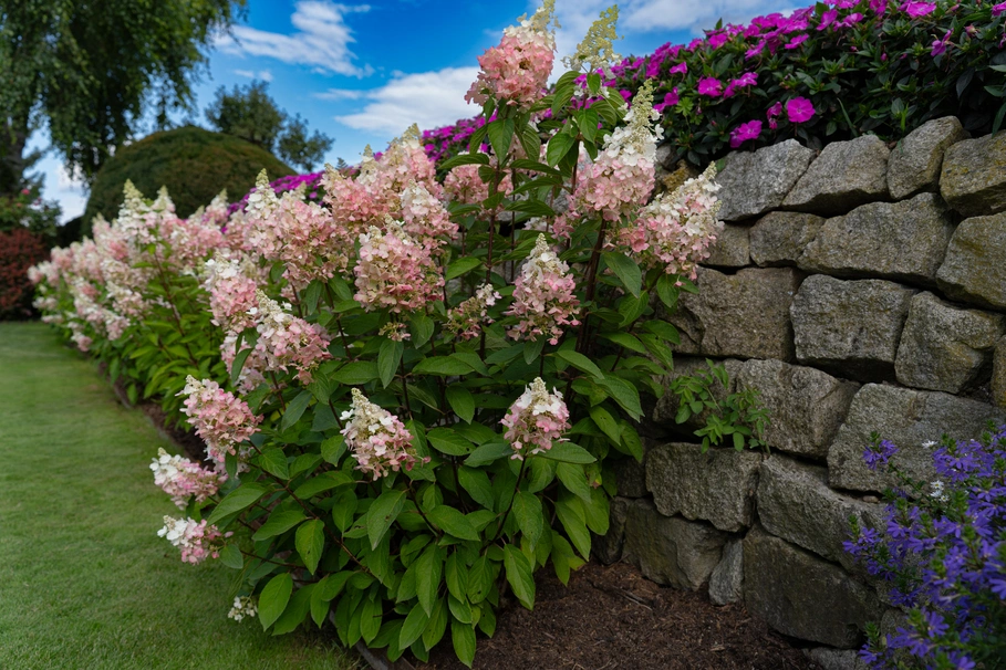 blumenkolb_neugestaltung11