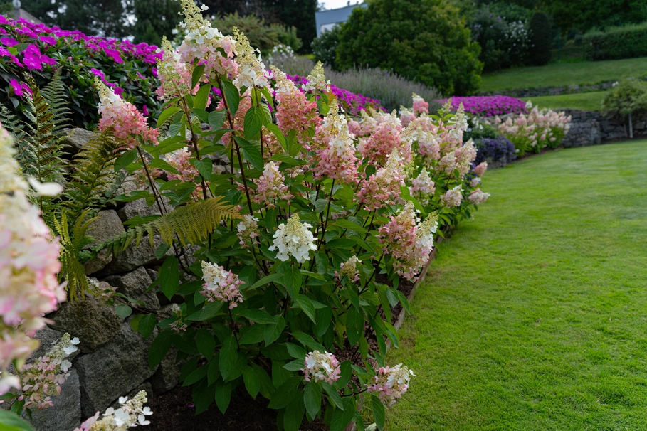 blumenkolb_neugestaltung13