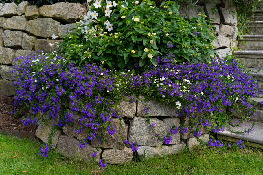 blumenkolb_neugestaltung14