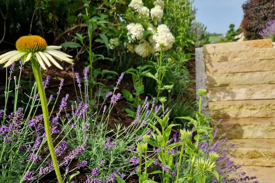 Blumen Kolb Neugestaltung 2