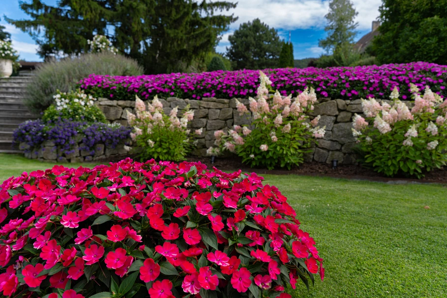 blumenkolb_neugestaltung8