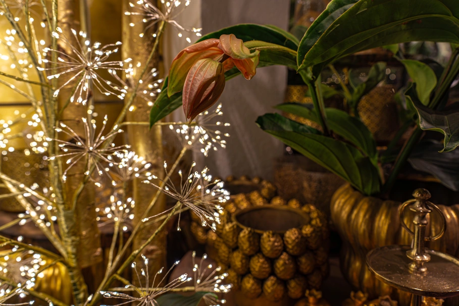 blumenkolb_weihnachten2