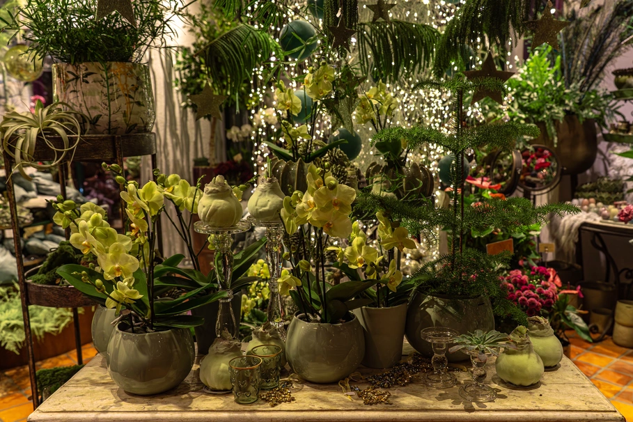 blumenkolb_weihnachten3