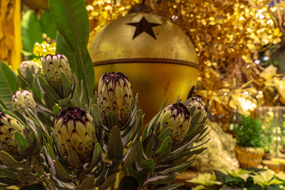 blumenkolb_weihnachten4