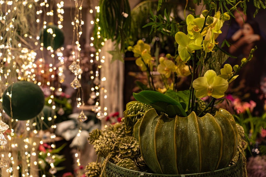 blumenkolb_weihnachten6