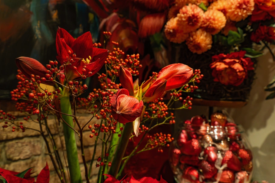 blumenkolb_weihnachten7